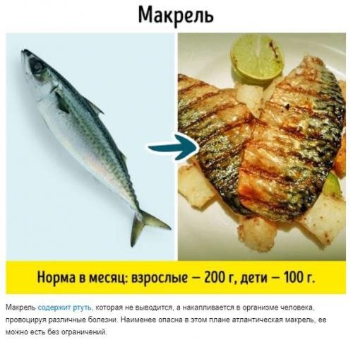 9 видов рыбы, которые не стоит есть. 01