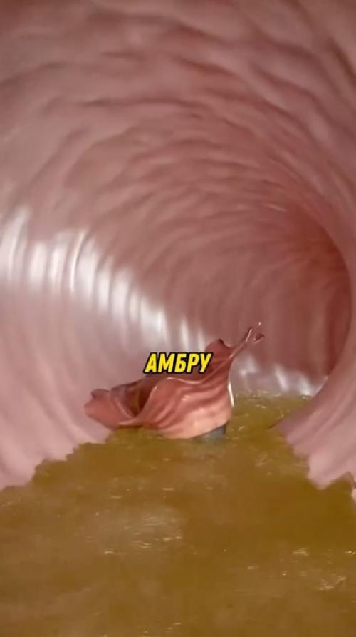 Почему иногда духи так дорого стоят? 01