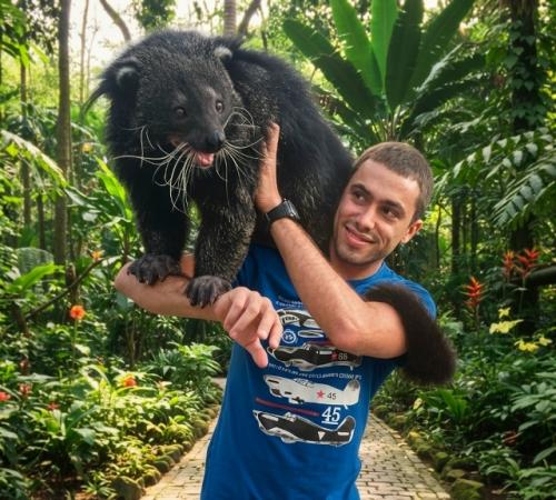 Это необычное животное напоминает смесь кошки, енота и медведя, за что его прозвали кошачьим медведем. 02