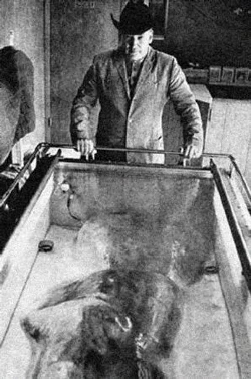 Снежный человек из миннесоты. 03