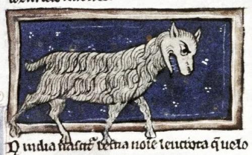 Пять странных зверей из средних веков. 01