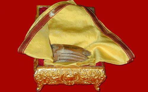 Добрый день) опубликуйте пожалуйста, нужен совет) вопрос к мастерам универсалам я занимаюсь ногтями 6 лет и 1. 5 ресницами.