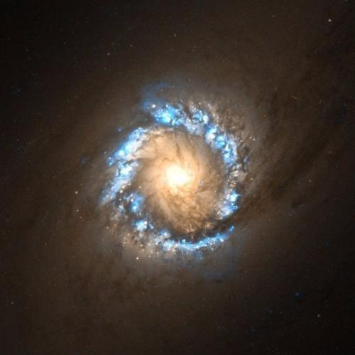 Галактика NGC 1097. 04 Галактика NGC 1097. 04