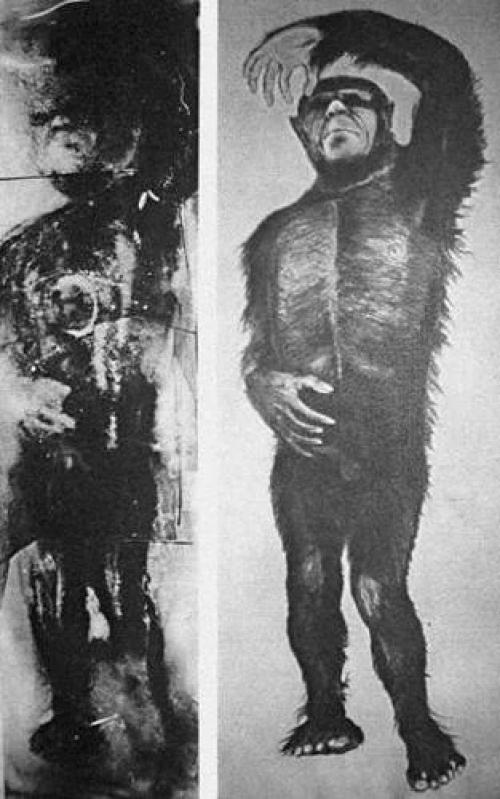 Снежный человек из миннесоты. 01