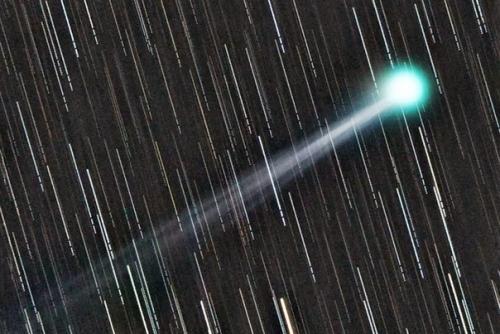 Комета C/2020 F8 Swan на снимках астрофотографов со всего мира. 04