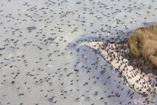 Самые загадочные места земли. 01 Самые загадочные места земли. 01