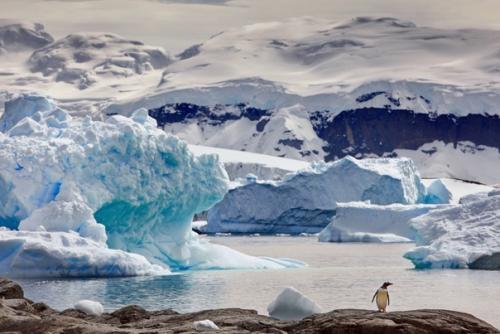 Антарктида - одно из красивейших мест на землеэ. 07
