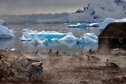 Антарктида - одно из красивейших мест на землеэ. 03