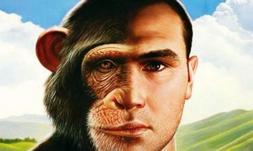 Клеточная антропология: почему мы не похожи на шимпанзе?