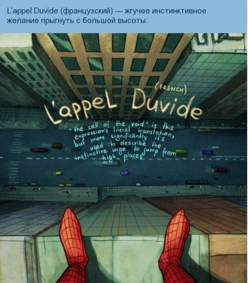 Необычные слова мира от иллюстратора марии тьюриной. 08