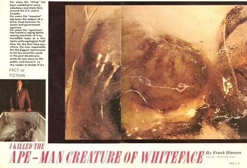 Снежный человек из миннесоты. 02