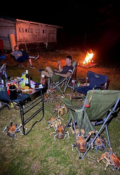 В Австралии одна семья устроила барбекю, но его испортили гигантские кокосовые крабы. 01