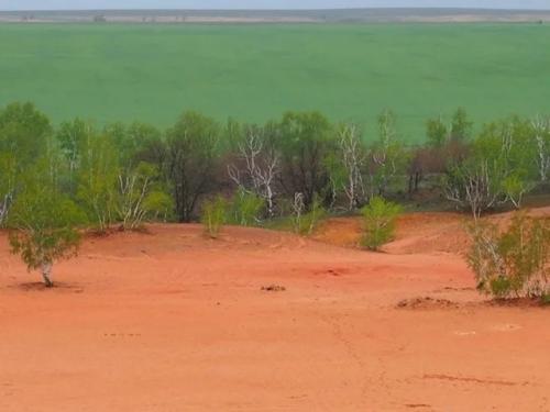 Аномальный кратер в степи в волгоградской области. 03 Аномальный кратер в степи в волгоградской области. 03
