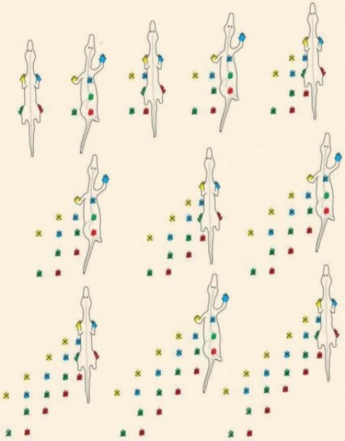 В гранд-каньоне нашли следы рептилии, которым больше 300 млн лет. 02 В гранд-каньоне нашли следы рептилии, которым больше 300 млн лет. 02