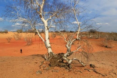 Аномальный кратер в степи в волгоградской области. 01 Аномальный кратер в степи в волгоградской области. 01