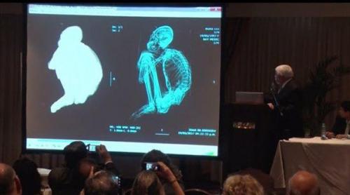 Из всех трендов, это должно стать модным? 02 Из всех трендов, это должно стать модным? 02