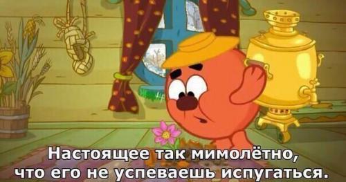 Тебе 5 лет - просто смотришь Смешариков. 04