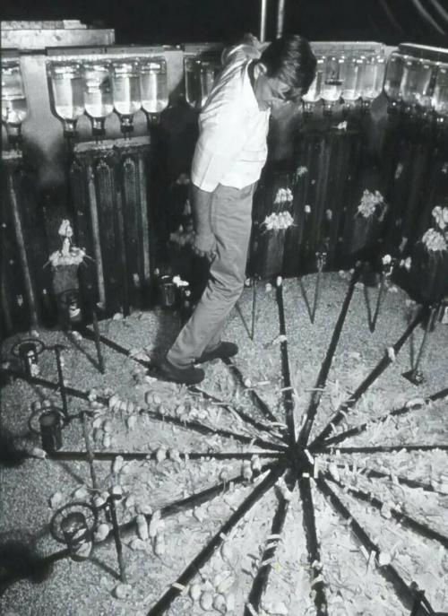 Учёный, который попытался создать рай - и стал свидетелем его гибели. 01