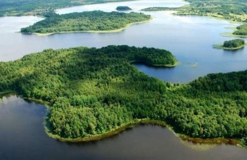 Несси в Селигере?