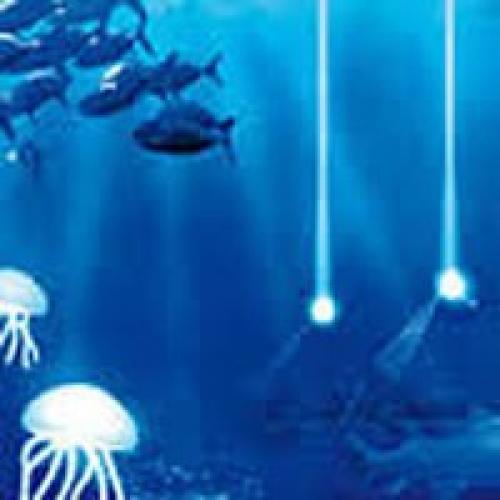 Загадочный кристалл доктора Брауна. 01