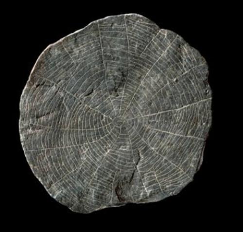 Загадочные камни с датского острова Борнхольм. 03 Загадочные камни с датского острова Борнхольм. 03