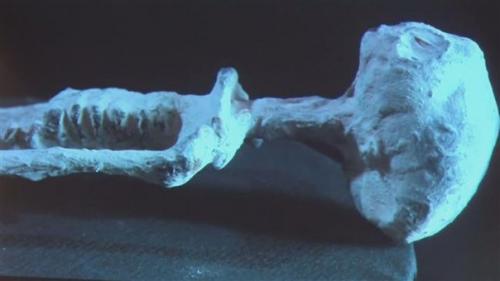 Из всех трендов, это должно стать модным? 01 Из всех трендов, это должно стать модным? 01