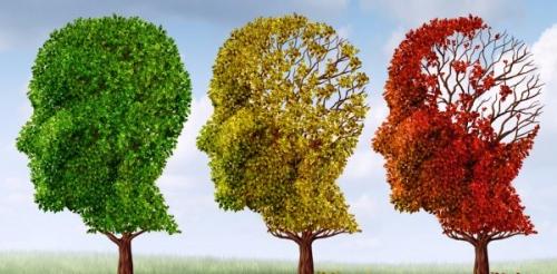 Премьера!  Болезнь альцгеймера - наиболее распространенное заболевание среди пожилых людей.