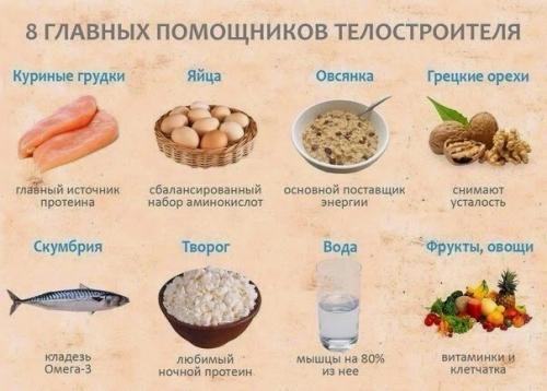 8 главных помощников телостроителя (Re. 8 главных помощников телостроителя (Re.