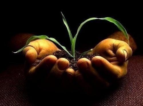 В мужчине важна мудрость, а не богатство.  