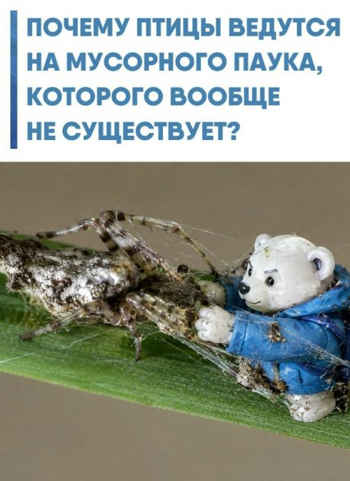 Паук - цилоза превратил мусор в оружие.  