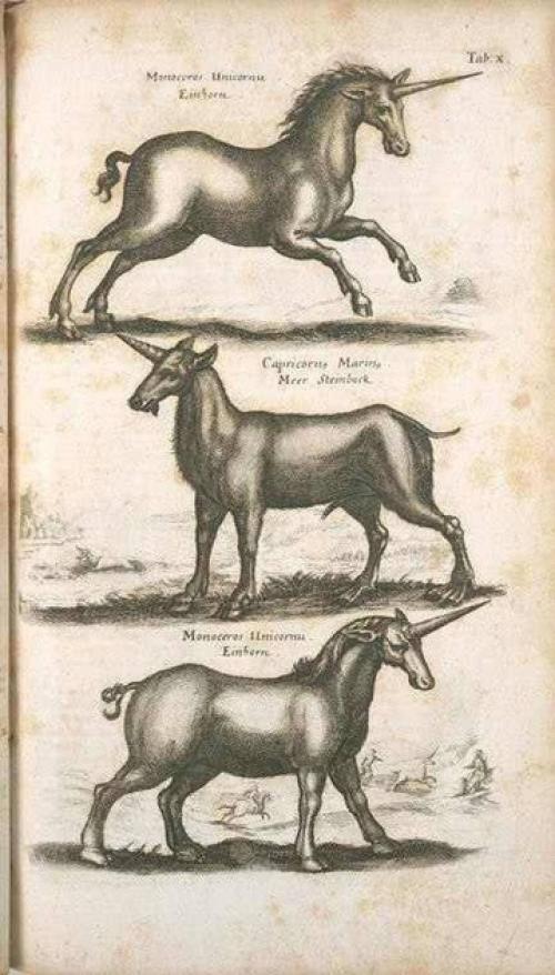 Йоаннес йонстонус (1603-1675) был ученым, специализировавшимся на флоре, фауне, медицине и некоторых других предметах. 02