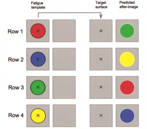 Почему, когда зажмуришь глаза, видятся разные узоры?