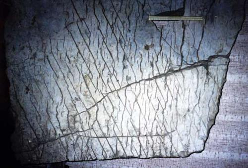 Неизвестная история человечества Запрещенная археология. Неизвестная археология: артефакты прошлого - загадки истории.