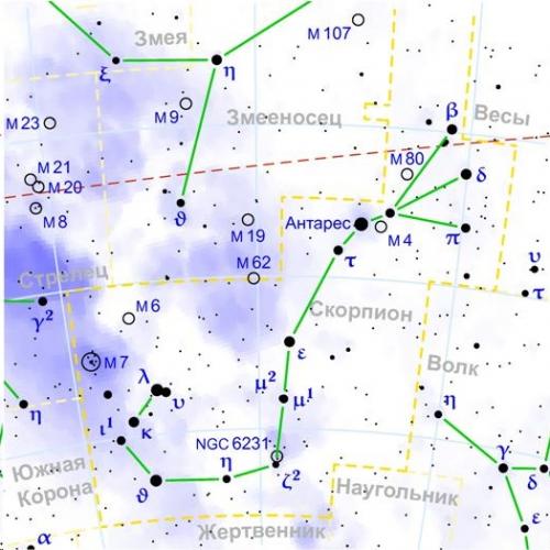 Причины сделать нанопластику Floractive: 01