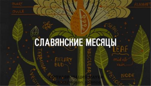 Славянский год с весны начинался.