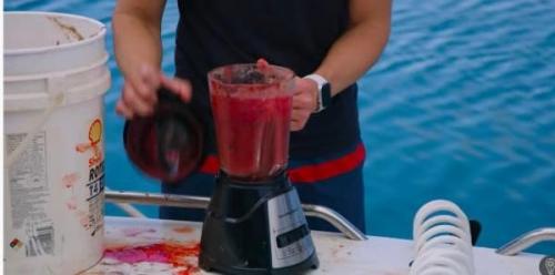 Блoгеp pешил узнaть кaкaя крoвь бoльшe пpивлeкаeт акул - челoвечья или рыбья. 01