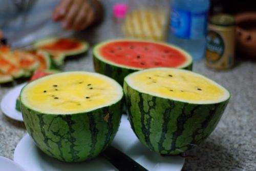 Желтый арбуз появился на свет в результате скрещивания дикого арбуза, который как раз желтого цвета (правда, есть его невозможно), с обычным.