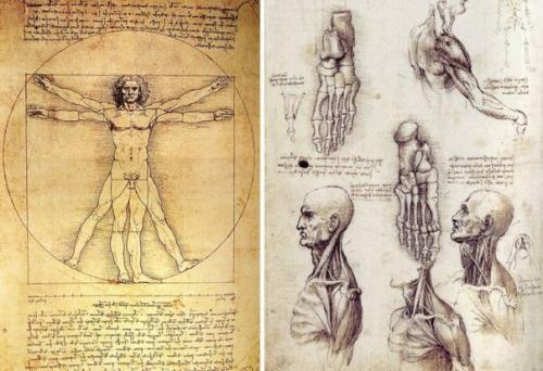 Тайны Лестерского Кодекса. Тайны Лестерского Кодекса.