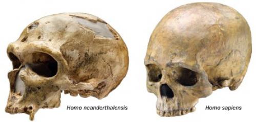 Неизвестная история человечества Запрещенная археология. Неизвестная археология: артефакты прошлого - загадки истории.