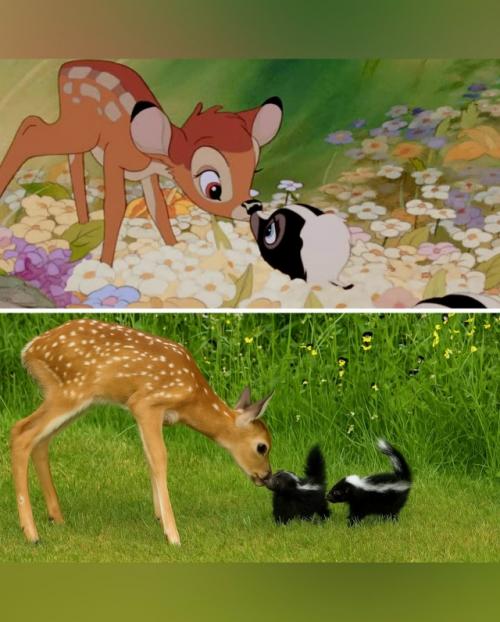 Это настоящая фотография, сделанная фотографом в 2007 году - не результат работы ИИ. 01