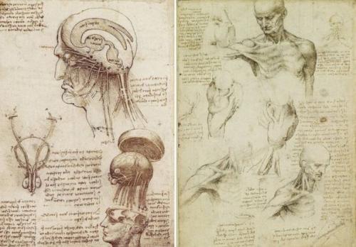 Тайны Лестерского Кодекса. 01 Тайны Лестерского Кодекса. 01