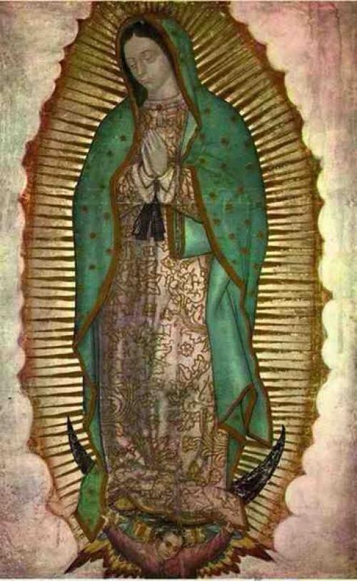 Наса … изучает. 