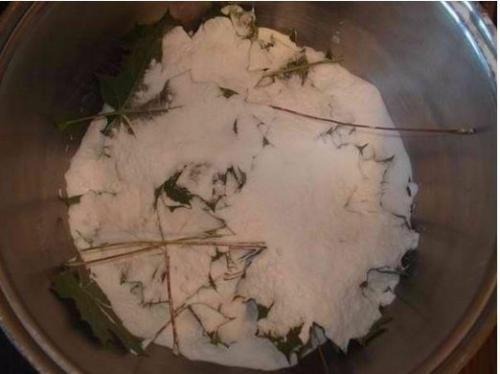 Скелетирование листьев. ( Art). 03