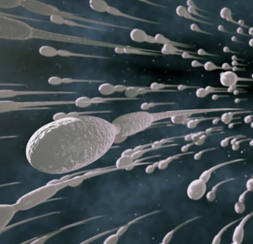 В Германии изобрели кнопку Выключения Спермы для мужской контрацепции. 01