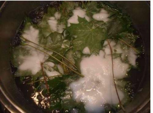 Скелетирование листьев. ( Art). 04