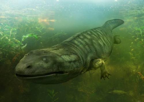 Нестыковки в эволюции: виды есть, а предков нет. 03 Нестыковки в эволюции: виды есть, а предков нет. 03