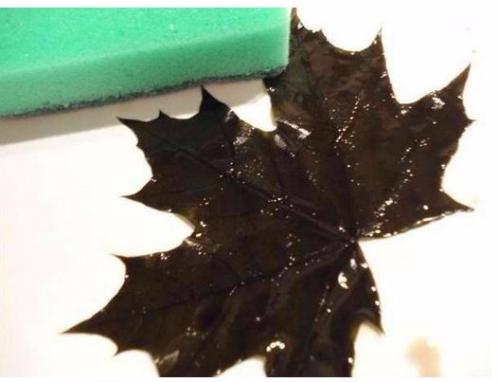 Скелетирование листьев. ( Art). 05