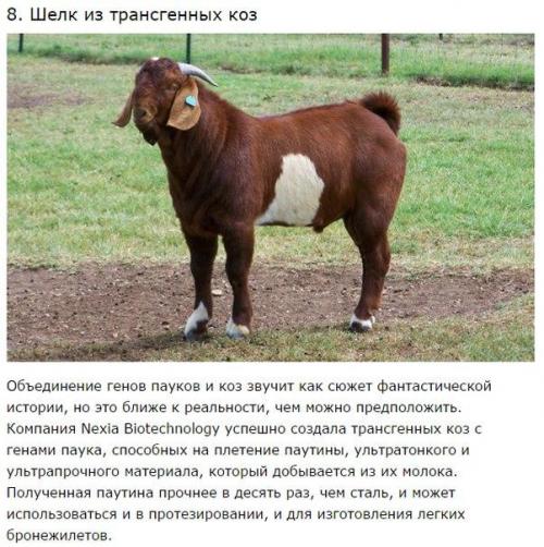 10 неимоверных научных революционных достижений. 07