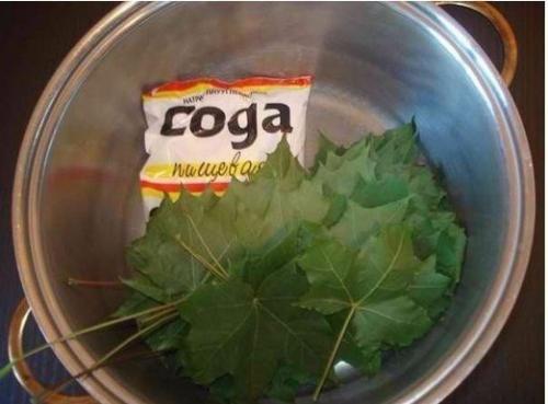 Скелетирование листьев. ( Art). 02