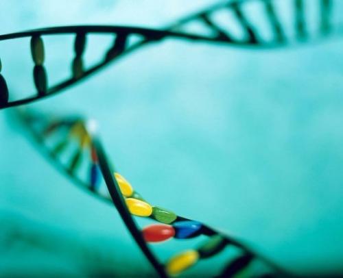 Ученые рассказали, как гены влияют на рост человека.